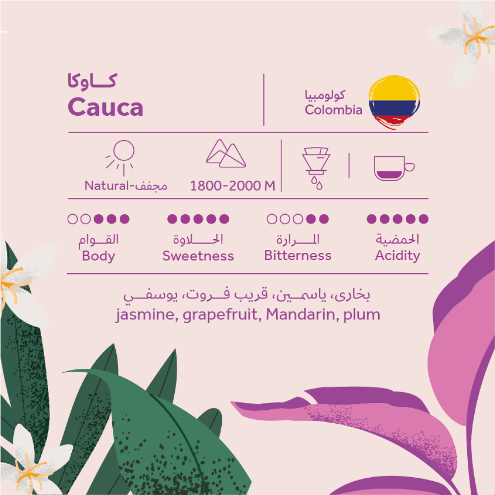 Cauca Colombia Breehant roastery