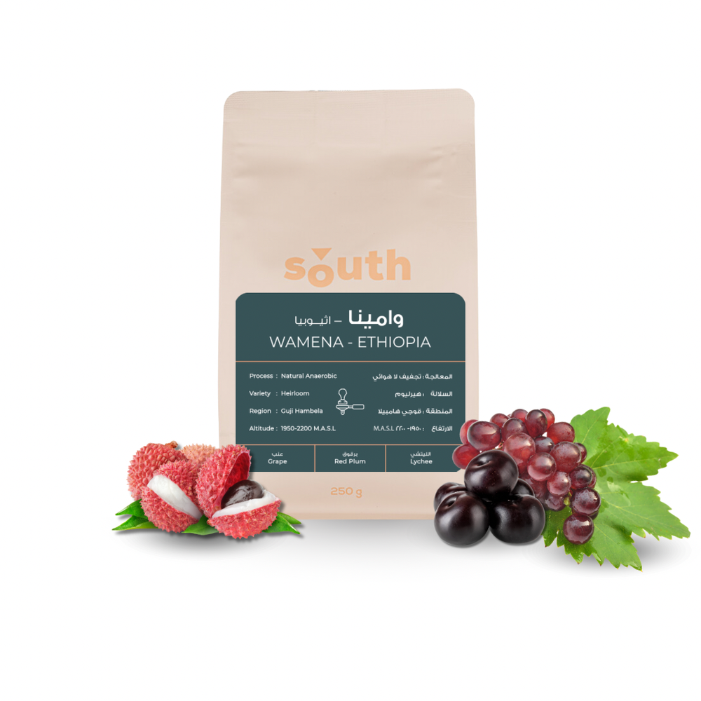 Ethiopia Wamena | south coffee