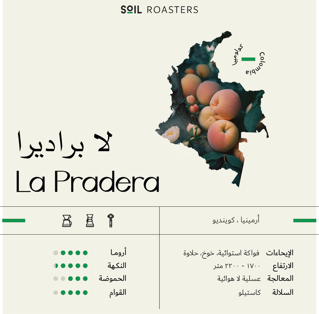 SOIL ROASTERY La pradera | لابراديرا