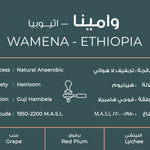 Ethiopia Wamena | south coffee