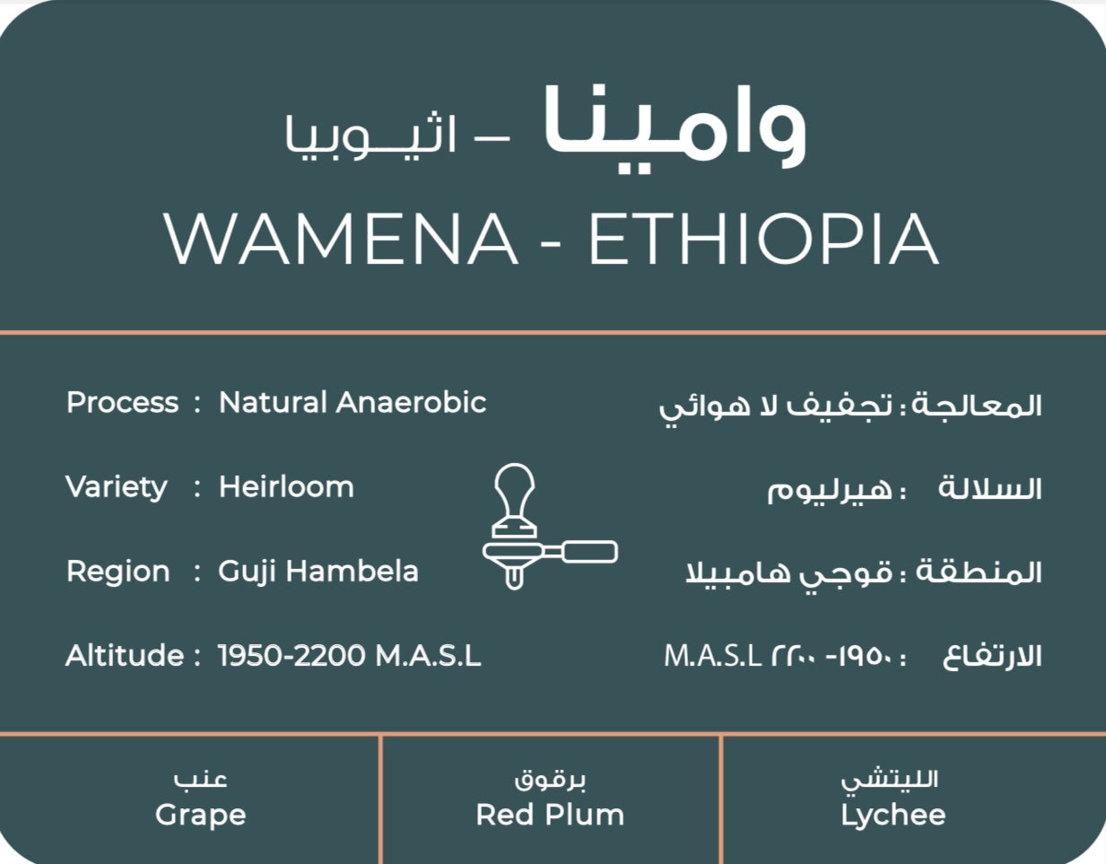 Ethiopia Wamena | south coffee