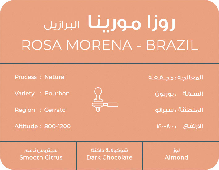 Brazil Rosa morena | south coffee