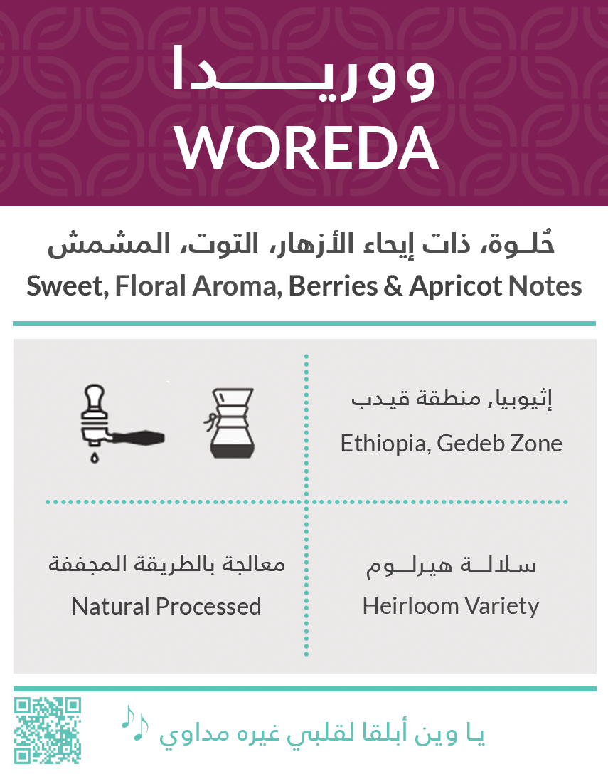 Woreda Ethiopia |kiffa roastery