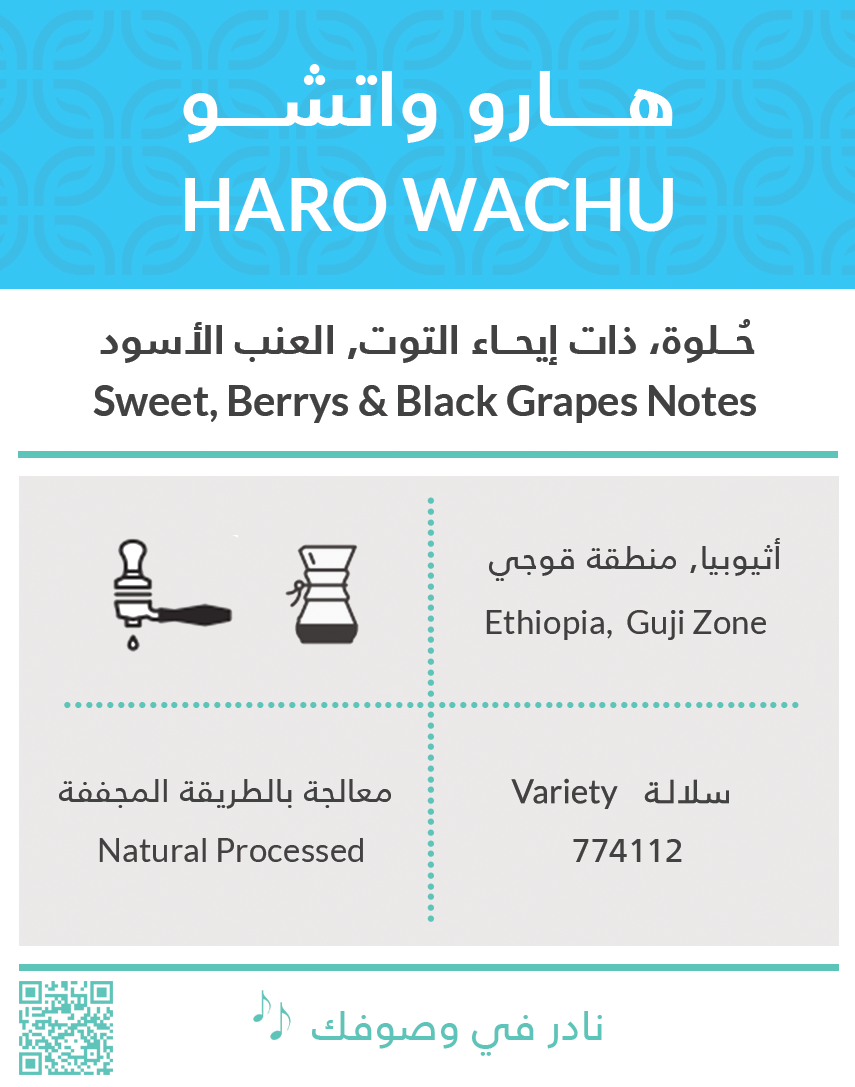 Haro Wachu Ethiopia KIFFA ROASTERY | أظرف القهوة - هارو واتشو