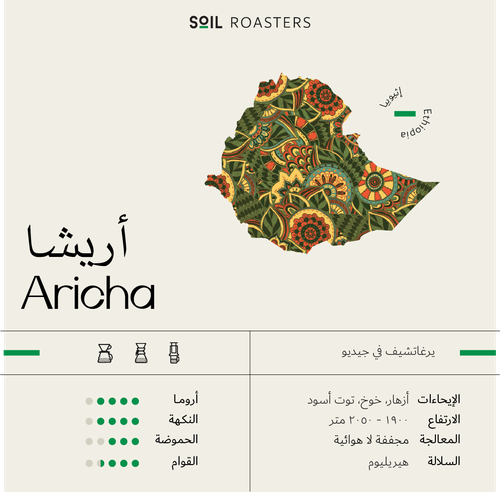 Ethiopia Aricha | Soil Roastery