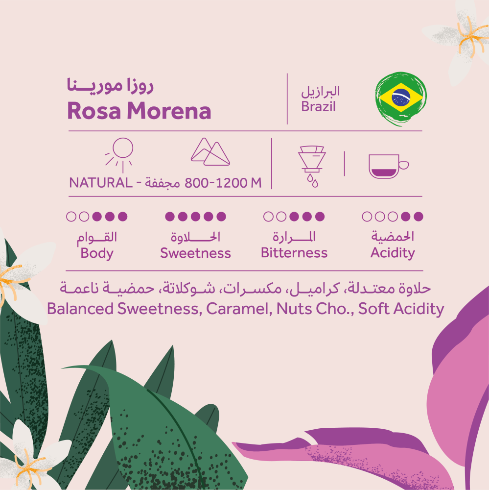 Brazil Rosa Morena | Breehant roastery