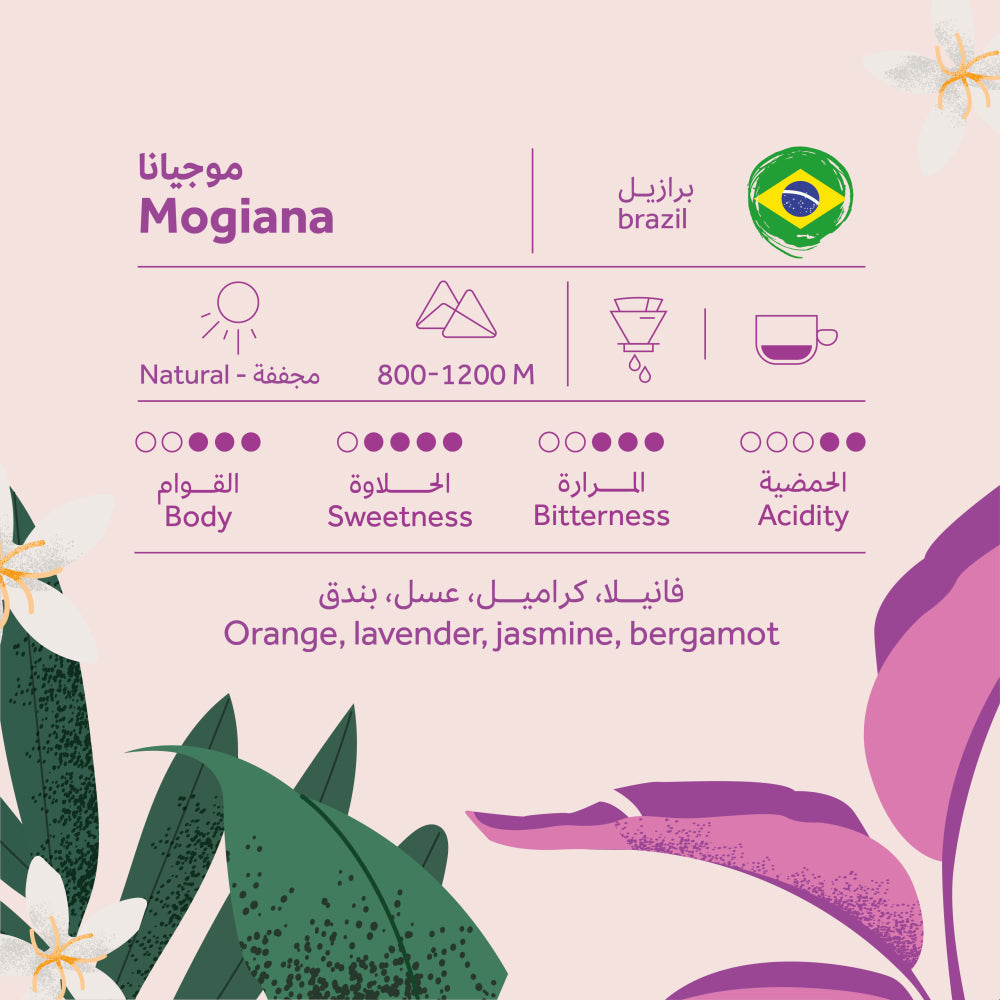 Brazil Mogiana | Breehant roastery