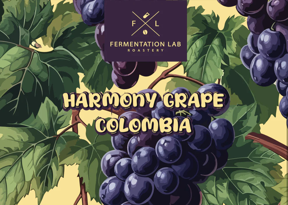 Harmony Grape | Fermentation Lab Roastery