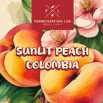 Sunlit peach | Fermentation Lab Roastery