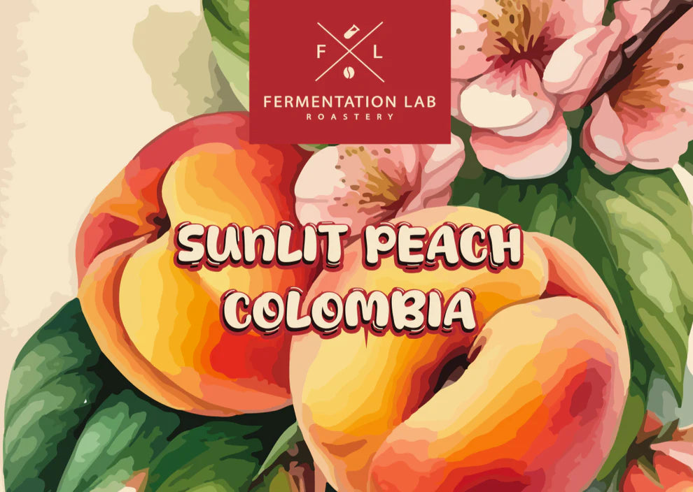 Sunlit peach | Fermentation Lab Roastery