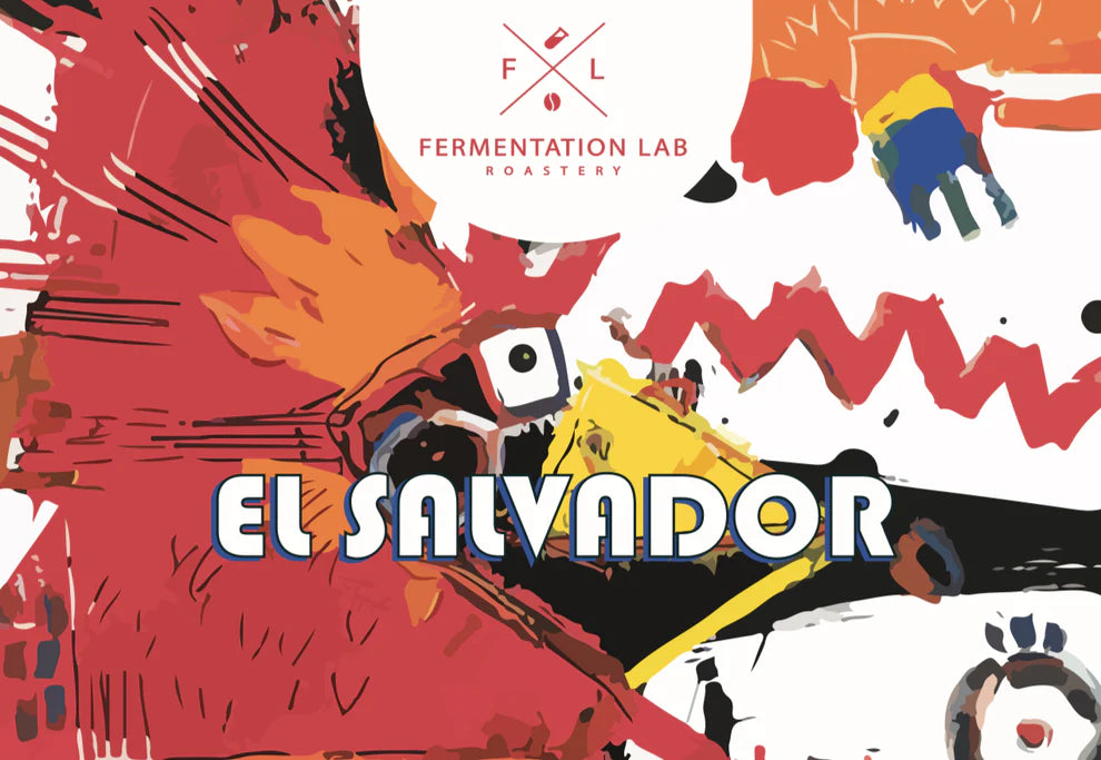 EL SALVADOR Fermentation Lab Roastery filter