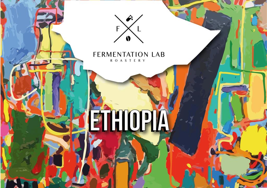 Ethiopia Guji filter | FERMENTATION LAB ROASTERY